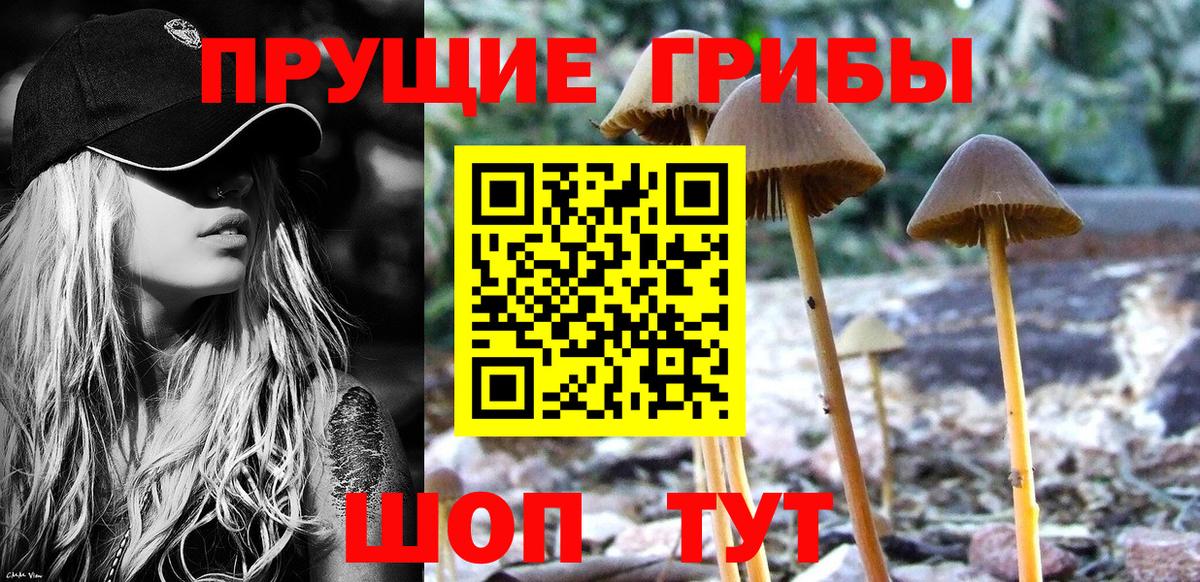 Галлюциногенные грибы прущие грибы  Вход с VPN  где можно купить наркотик  Тула 