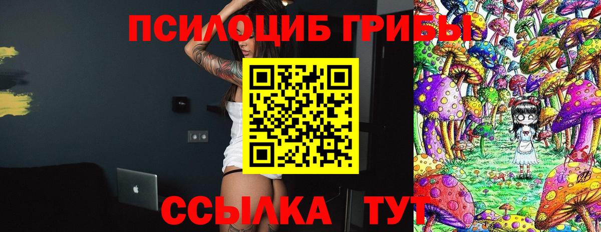 Псилоцибиновые грибы Cubensis Тула